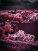 _5159253_gp_h2_2025