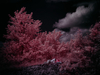 _5159263_gp_h2_2025