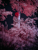 _5159269_gp_h2_2025
