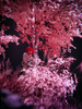 _5159271_gp_h2_2025