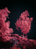 _5159275_gp_h2_2025