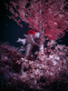 _5159282_gp_h2_2025