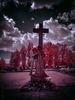 _5159286_gp_h2_2025