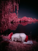 _6219401_gpx_2025
