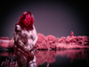 _6219416_gpx_2025