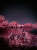 _6219417_gpx_2025
