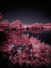 _6219419_gpx_2025