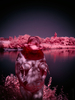 _6219420_gpx_2025