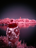 _6219421_gpx_2025