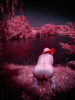 _6219432_gpx_2025