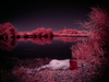 _6219463_gpx_2025