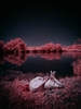 _6219472_gpx_2025