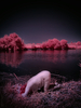 _6219482_gpx_2025