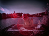 _6259716_gpx_2025