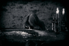 i_MG_2868_gpx_2025