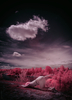 _8029805_gpx_2025