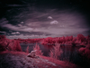 _8029824_gpx_2025