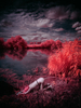 _8029835_gpx_2025