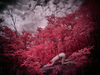 _8029860_gpx_2025