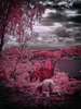 _8029868_gpx_2025