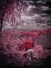 _8029869_gpx_2025
