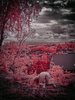 _8029870_gpx_2025