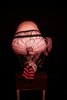 _MG_3494_gpx_2026