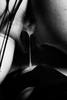 _MG_3687_gpx_2026