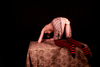 _MG_3730_gpx_2026