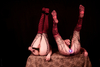 _MG_3769_gpx_2026
