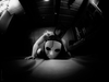 _3100061_gpx_2026