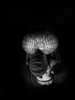 _3100086_gpx_2026