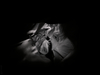 _3100323_gpx_2026