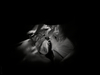 _3100325_gpx_2026