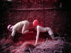 __3109980__gpx__2026