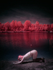 _5100334_gpx_2026
