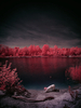 _5100336_gpx_2026