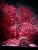 _5100348_gpx_2026