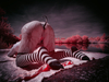 _5100352_gpx_2026