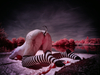_5100353_gpx_2026