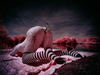 _5100354_gpx_2026