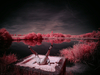 _5100356_gpx_2026