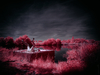 _5100360_gpx_2026