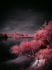 _5100368_gpx_2026