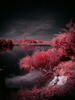 _5100369_gpx_2026