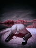 _5100371_gpx_2026