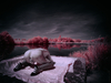 _5100376_gpx_2026