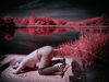 _5100377_gpx_2026