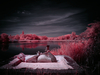 _5100397_gpx_2026