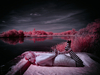 _5100398_gpx_2026